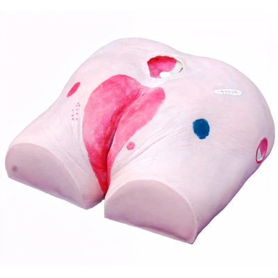 MODELO DE TRATAMENTO PARA ÚLCERA EM DECÚBITO